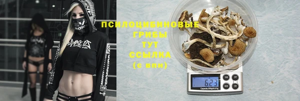 мяу мяу мука Абинск