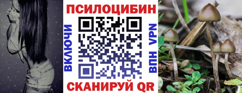 купить   Мосальск  Галлюциногенные грибы ЛСД 