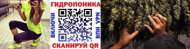 Бошки Шишки OG Kush  Мосальск 